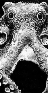 Dagon