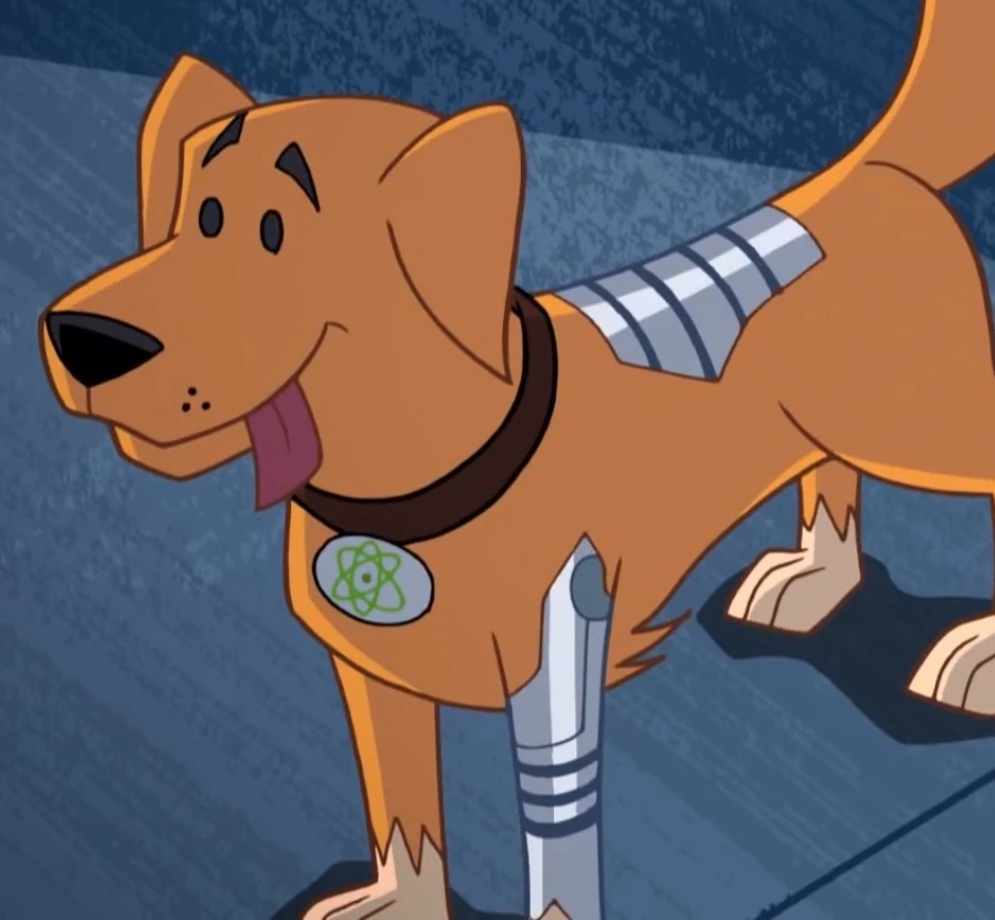 Dog