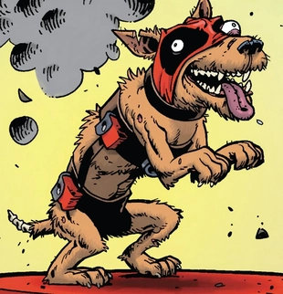 Dogpool