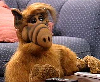 Alf