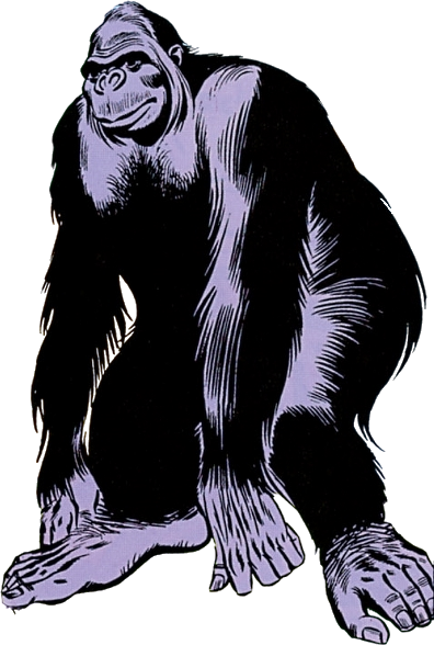 Grodd