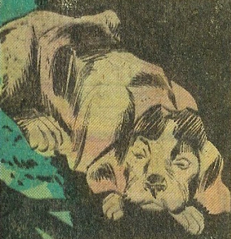 Penny