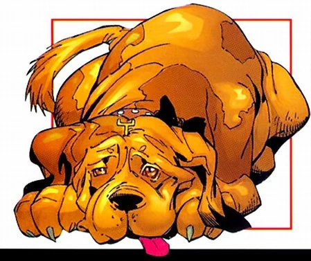 Puppy