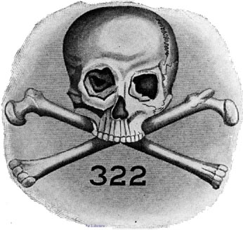 Skull