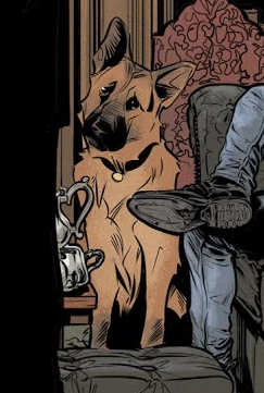 Ace the Bat-Hound