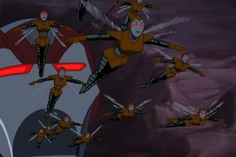 Wasp