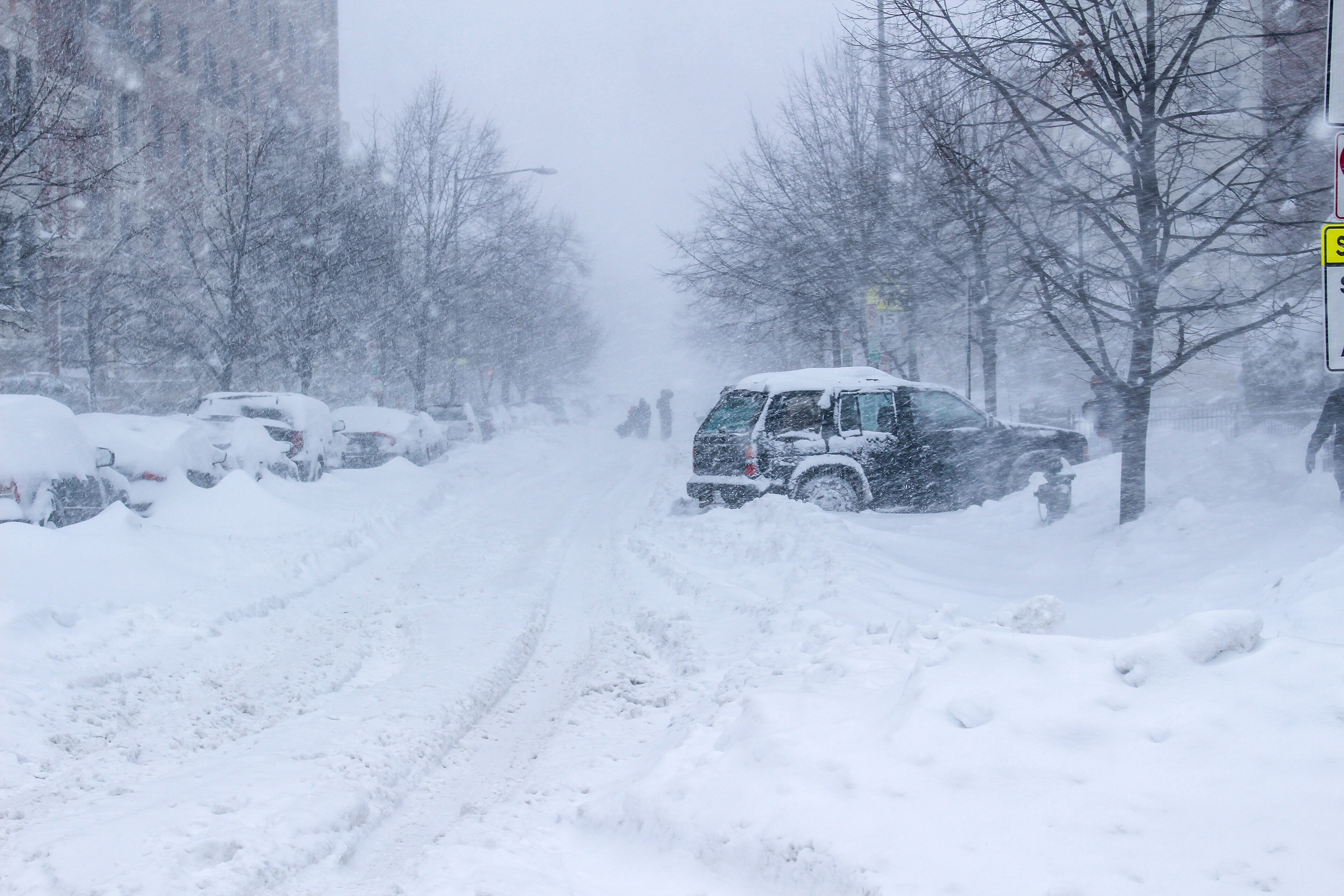 Blizzard