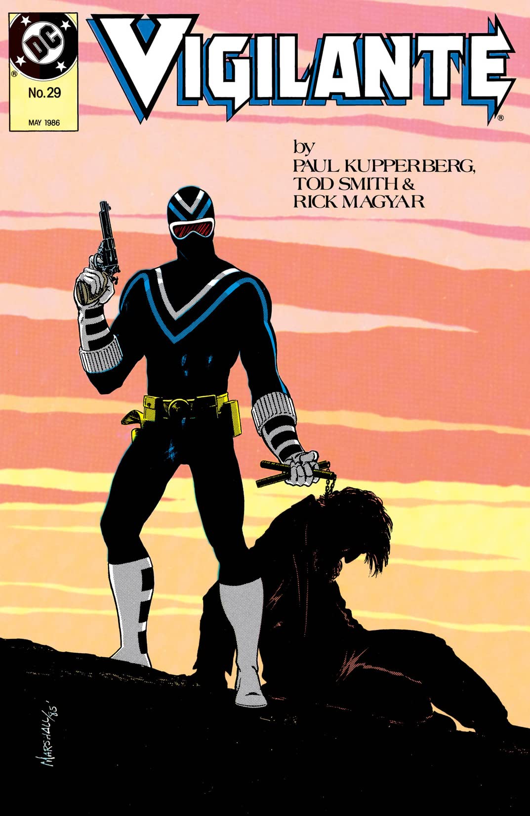The Vigilante #29
