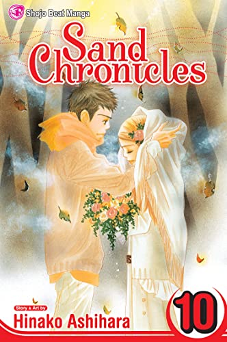 Sand Chronicles #10 cover