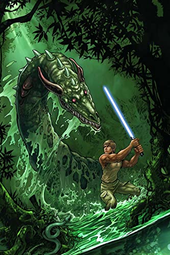 Star Wars Adventures: Luke Skywalker and the Treasure of the Dragonsnakes #[nn] cover