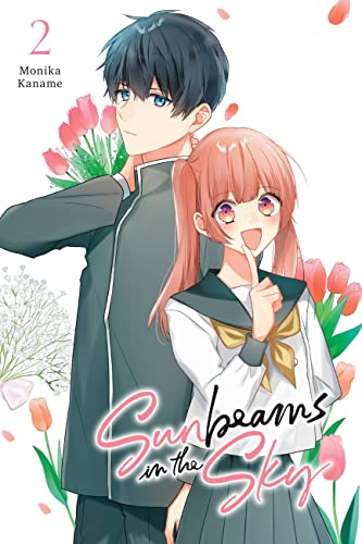 Sunbeams In the Sky #2 cover