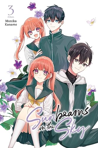 Sunbeams In the Sky #3 cover