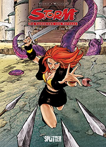 Storm - Die Chroniken von Rothaar #1 cover