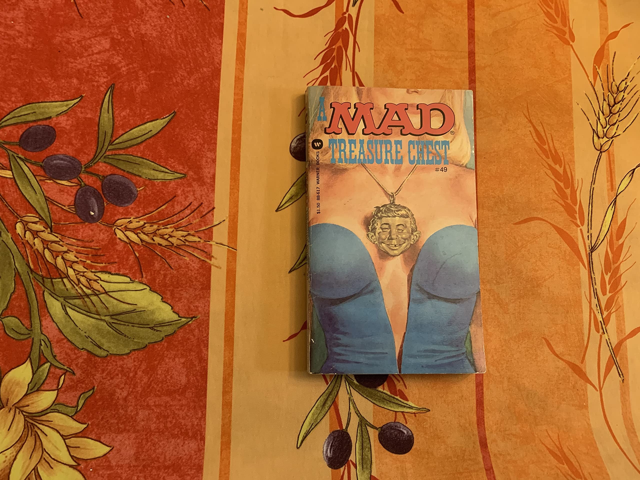 A Mad Treasure Chest #49 cover