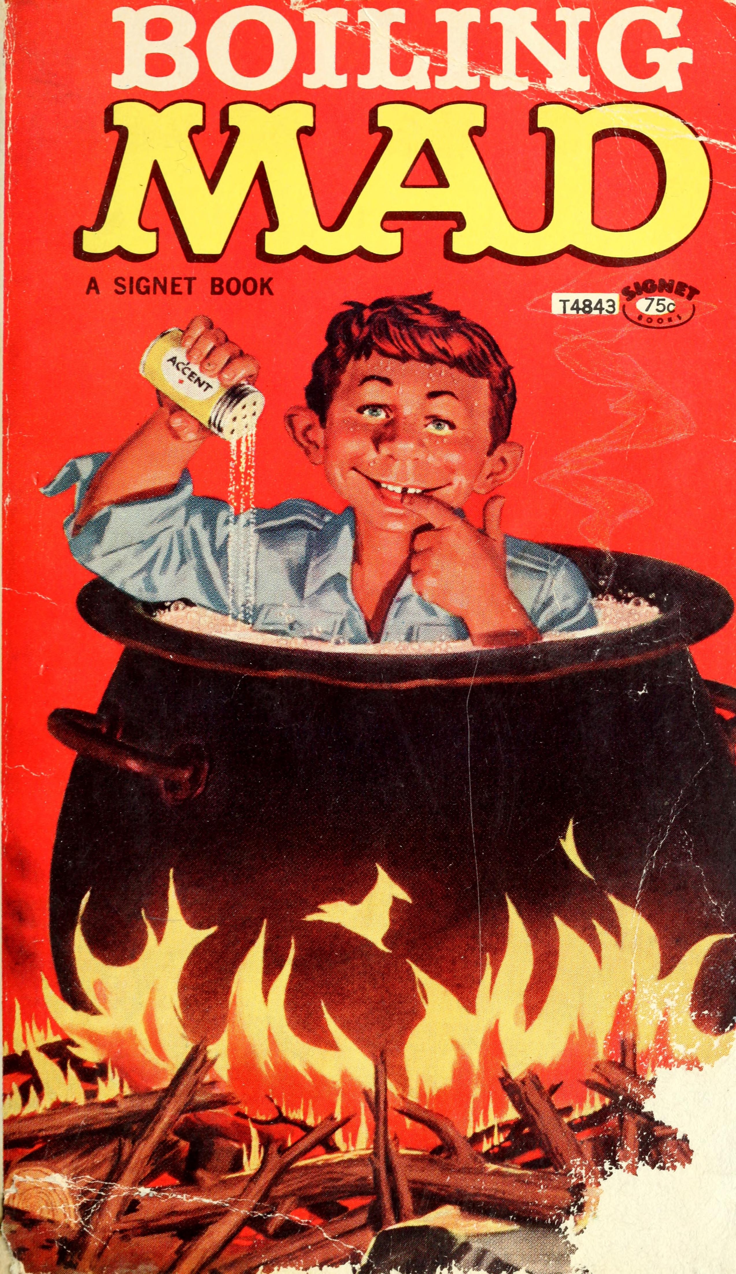 Boiling Mad #21 (88-740) cover
