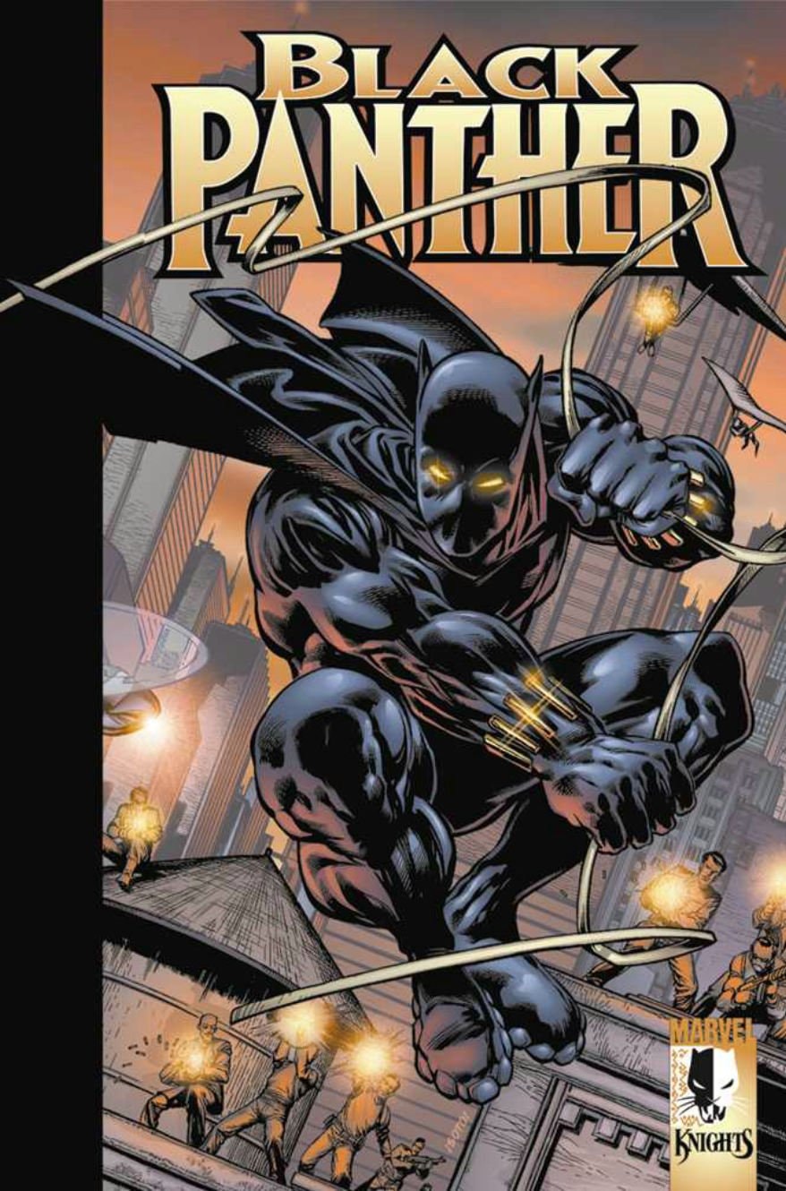 Black Panther: Enemy of the State #[nn]