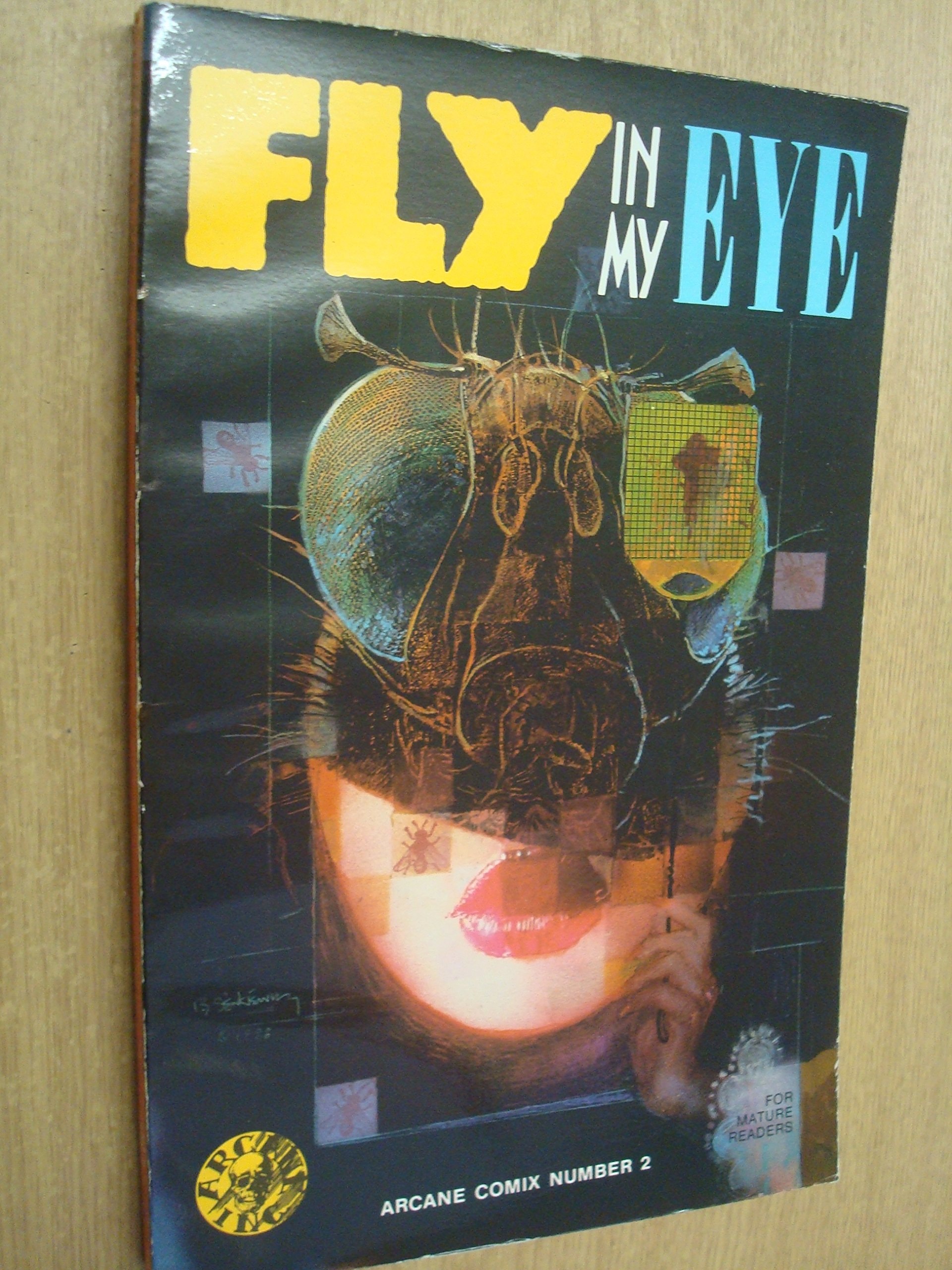 Fly in My Eye #[nn]