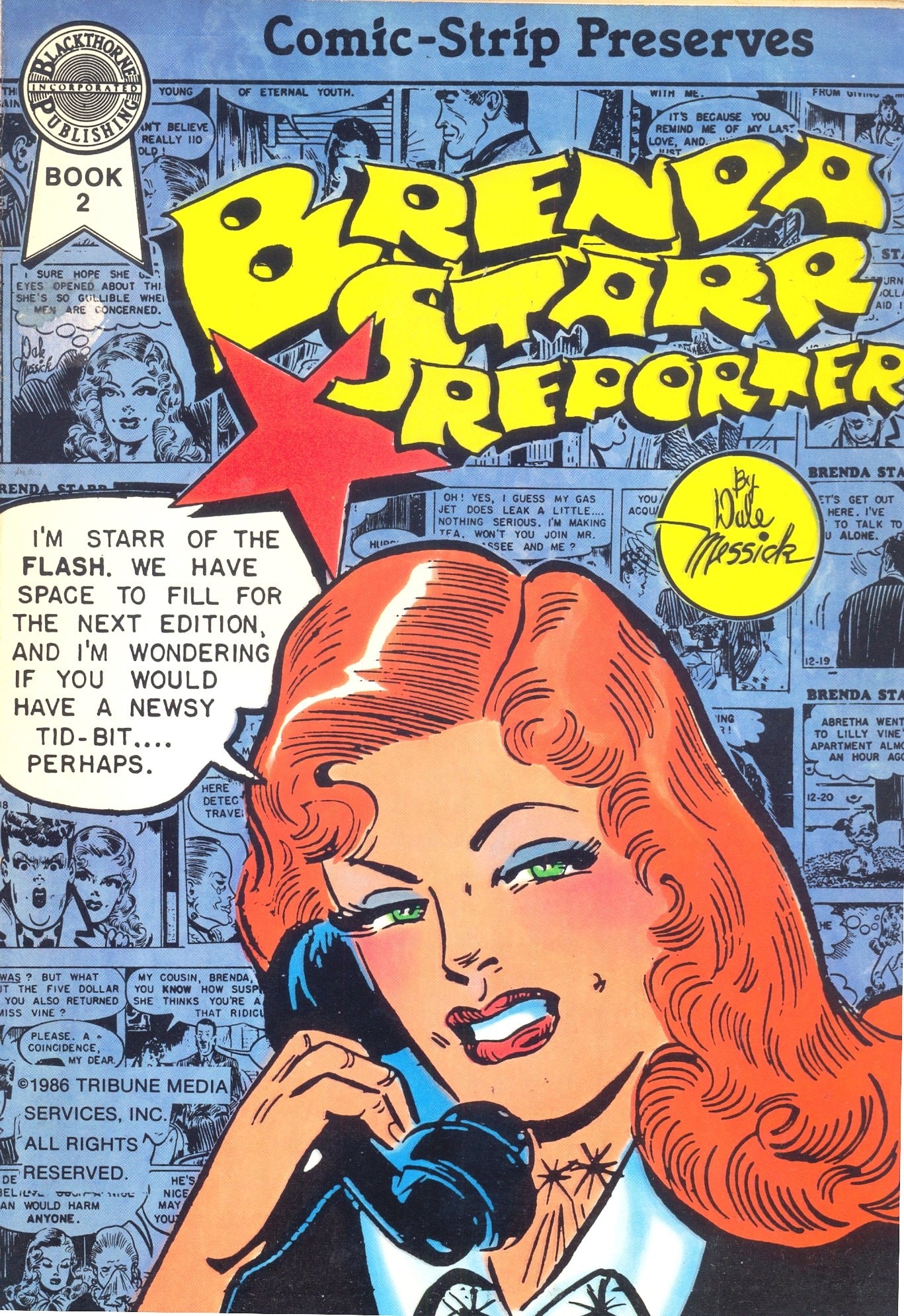 Brenda Starr Reporter Comic-Strip Preserves #2 cover