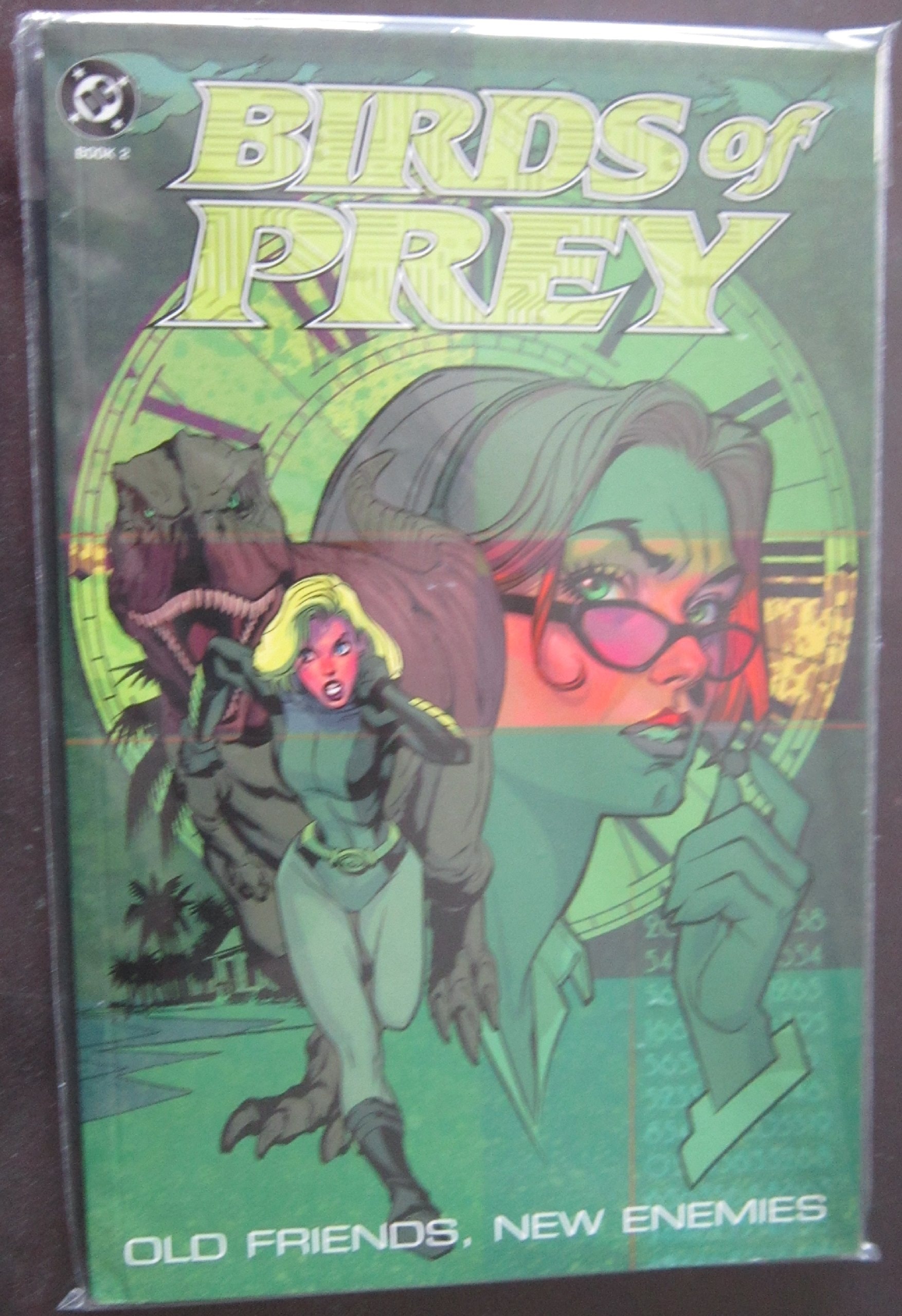 Birds of Prey #2 cover