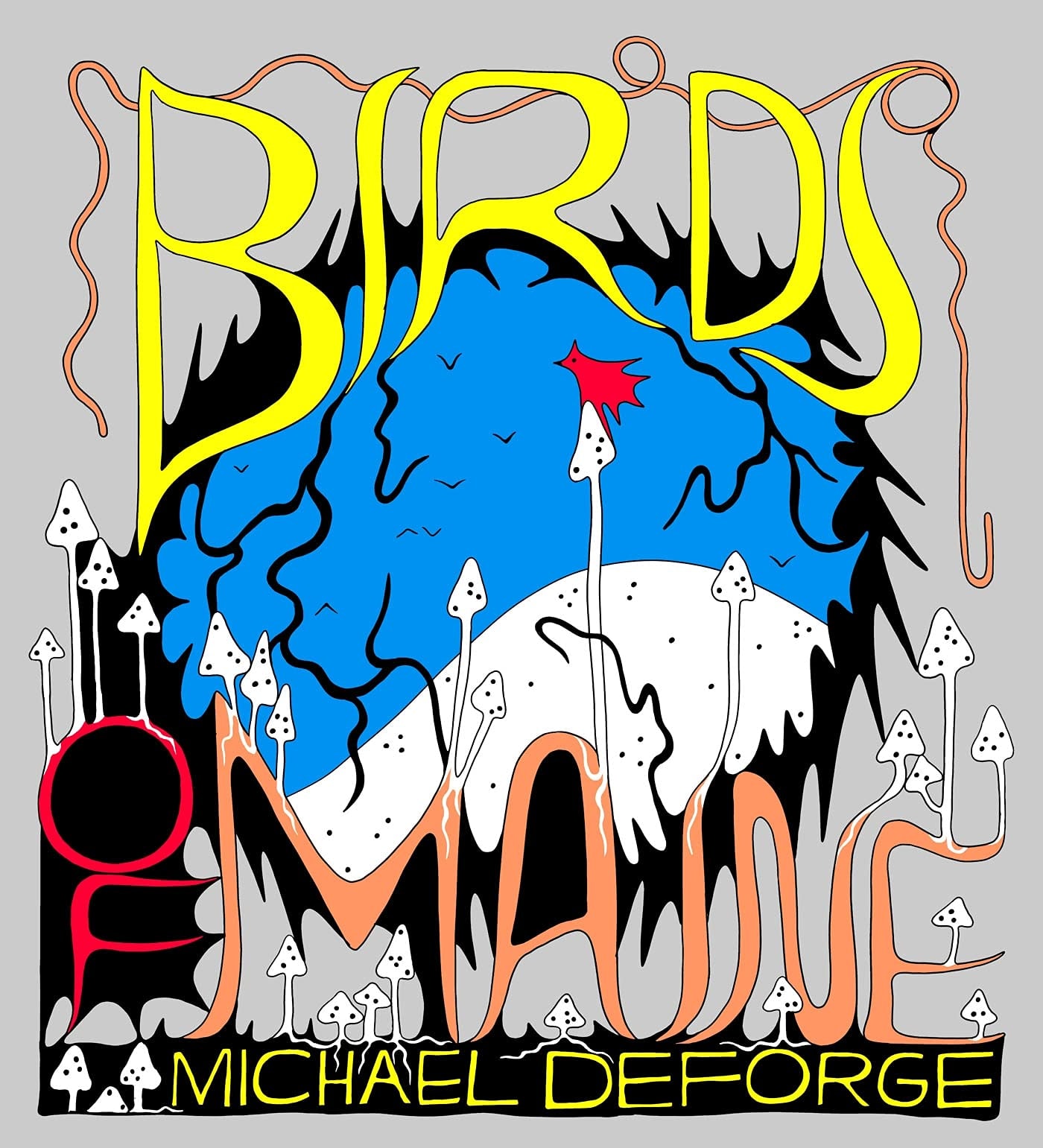 Birds of Maine #[nn] cover