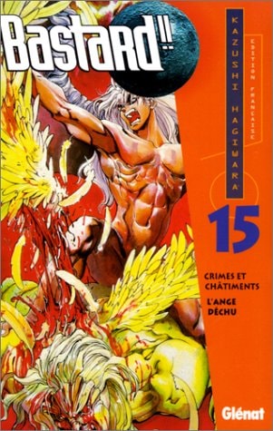 Bastard!! #15 cover