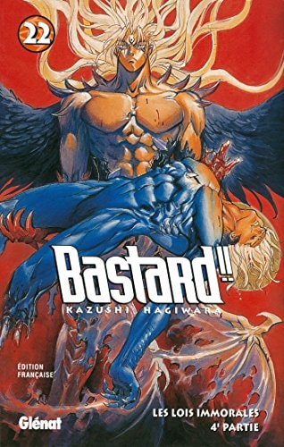 Bastard!! #22 cover