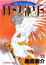 ああっ女神さまっ [Aa! Megami-sama/Oh My Goddess!] #12 cover