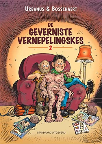 De Geverniste Vernepelingskes #2 cover