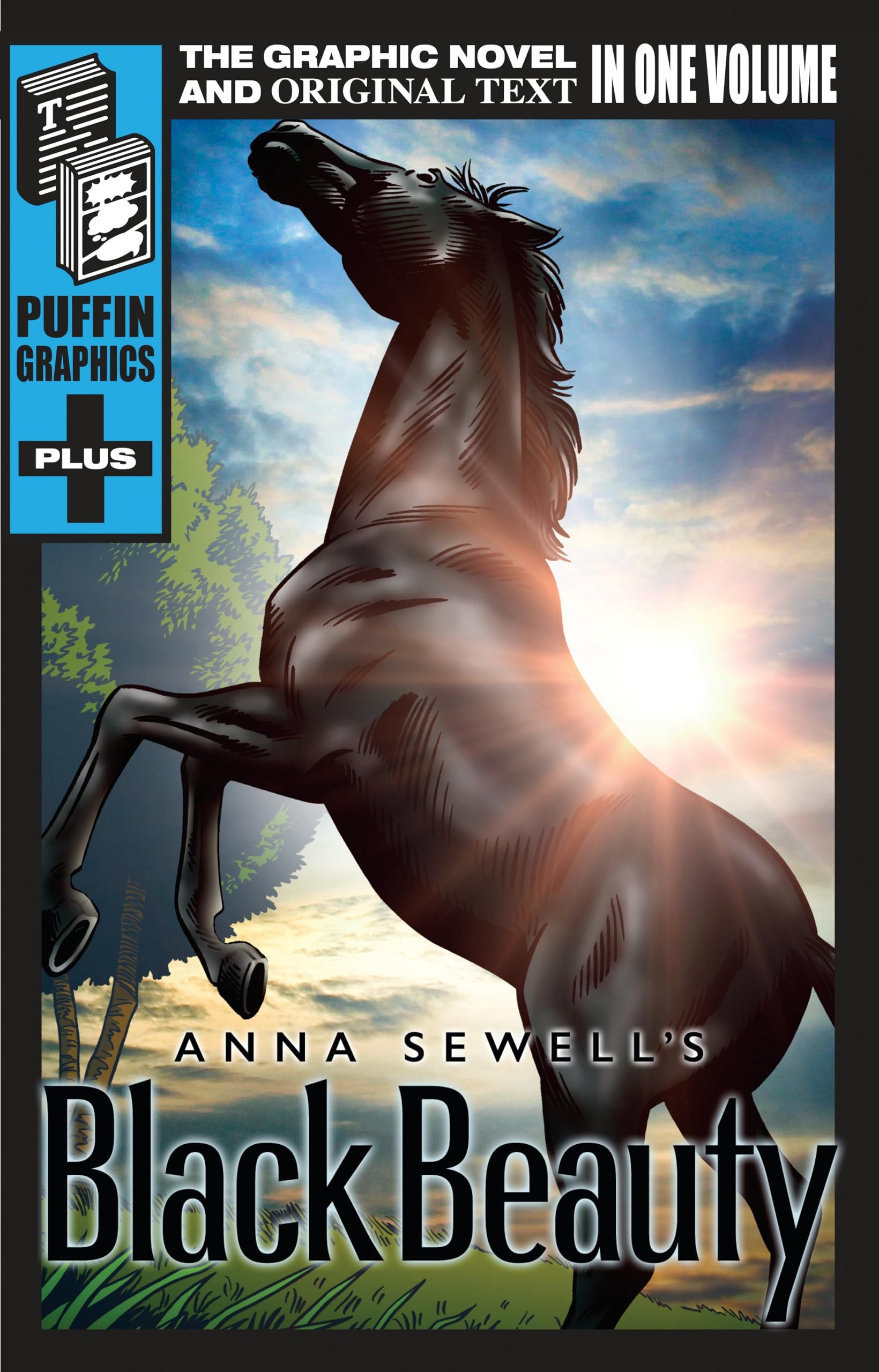 Black Beauty #[nn] cover