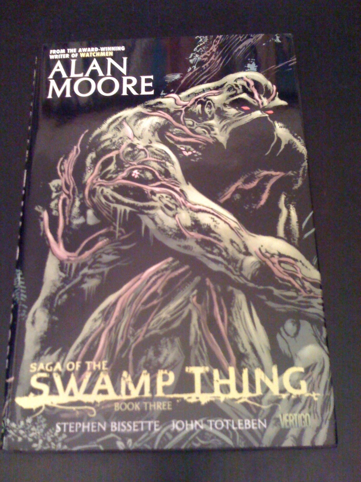 Saga of the Swamp Thing #3 cover