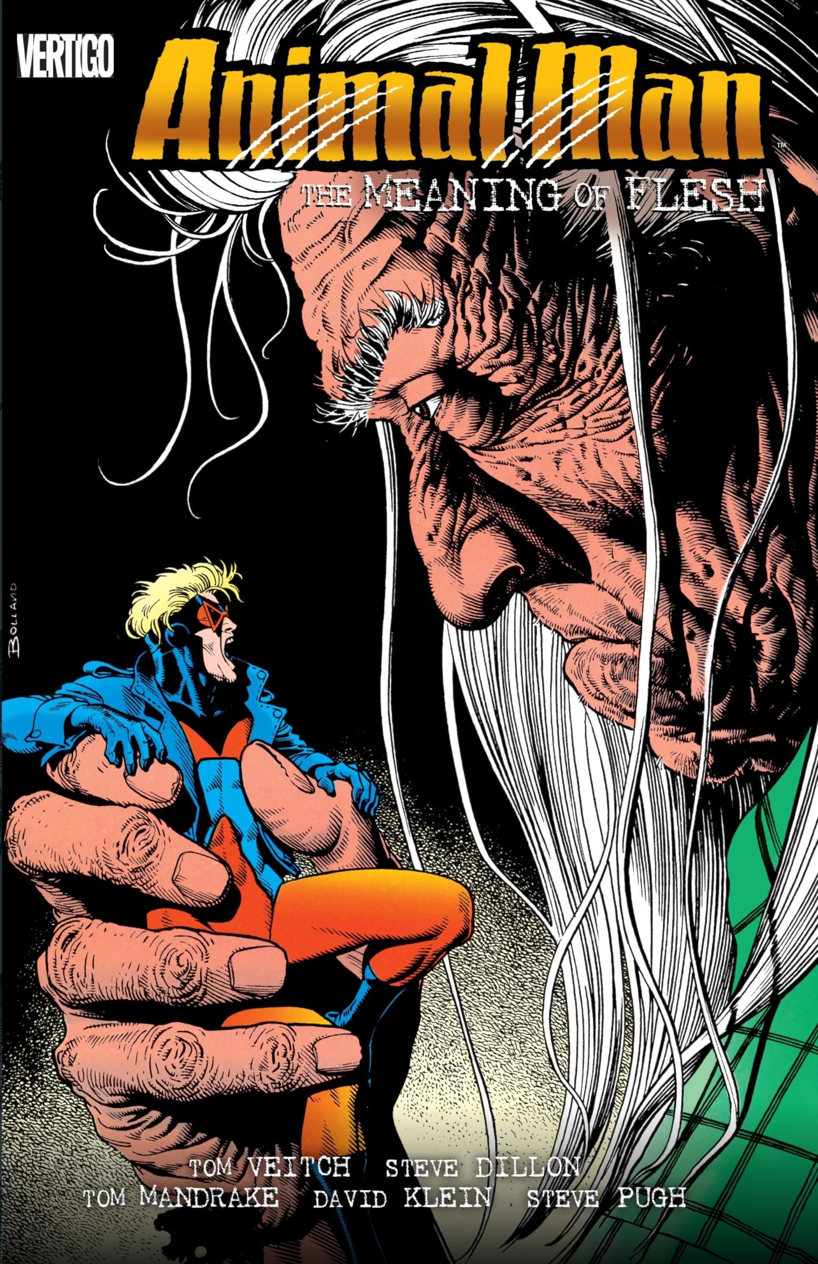 Animal Man: The Meaning of Flesh #[nn]