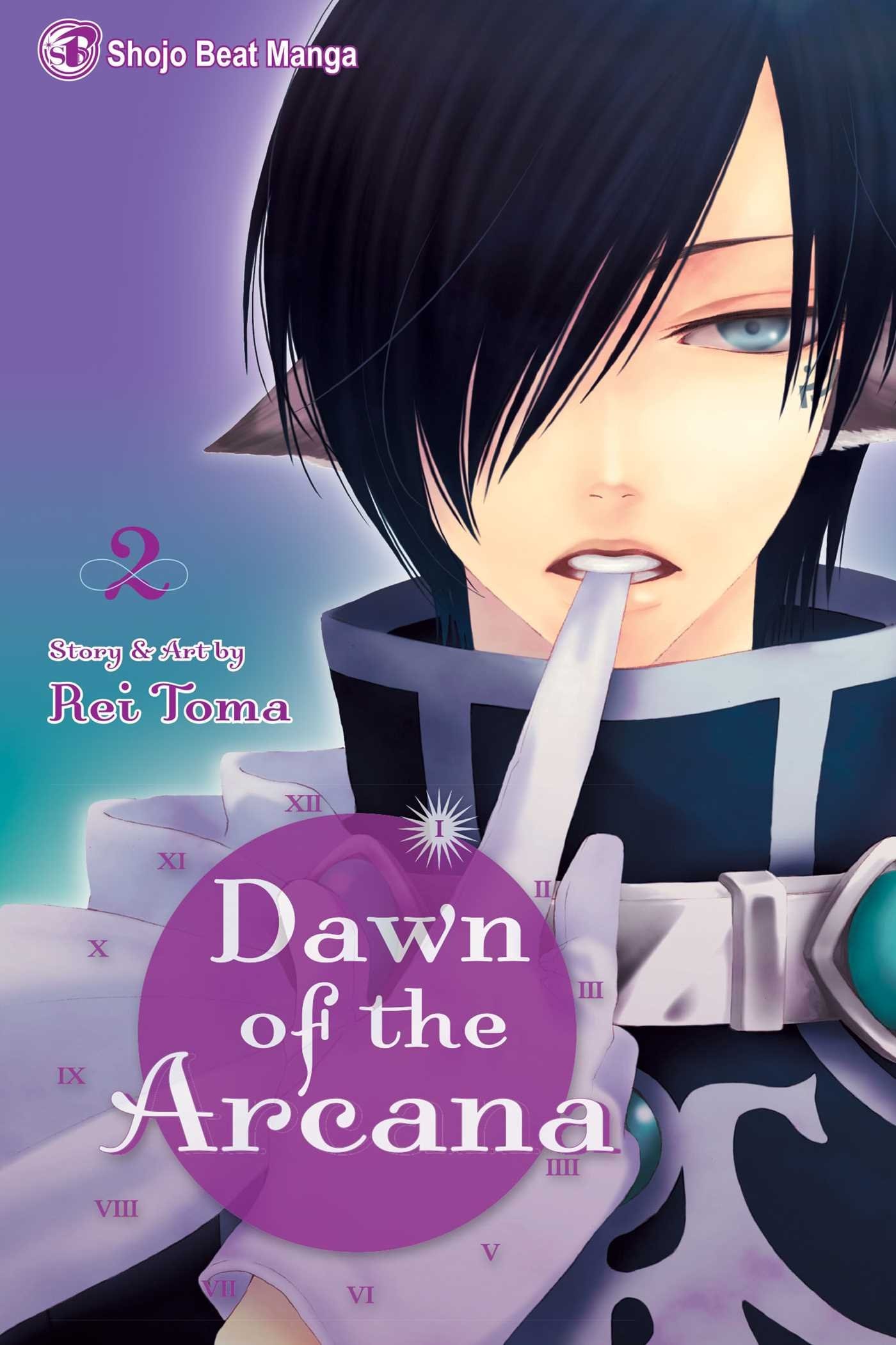 Dawn of the Arcana #2 cover