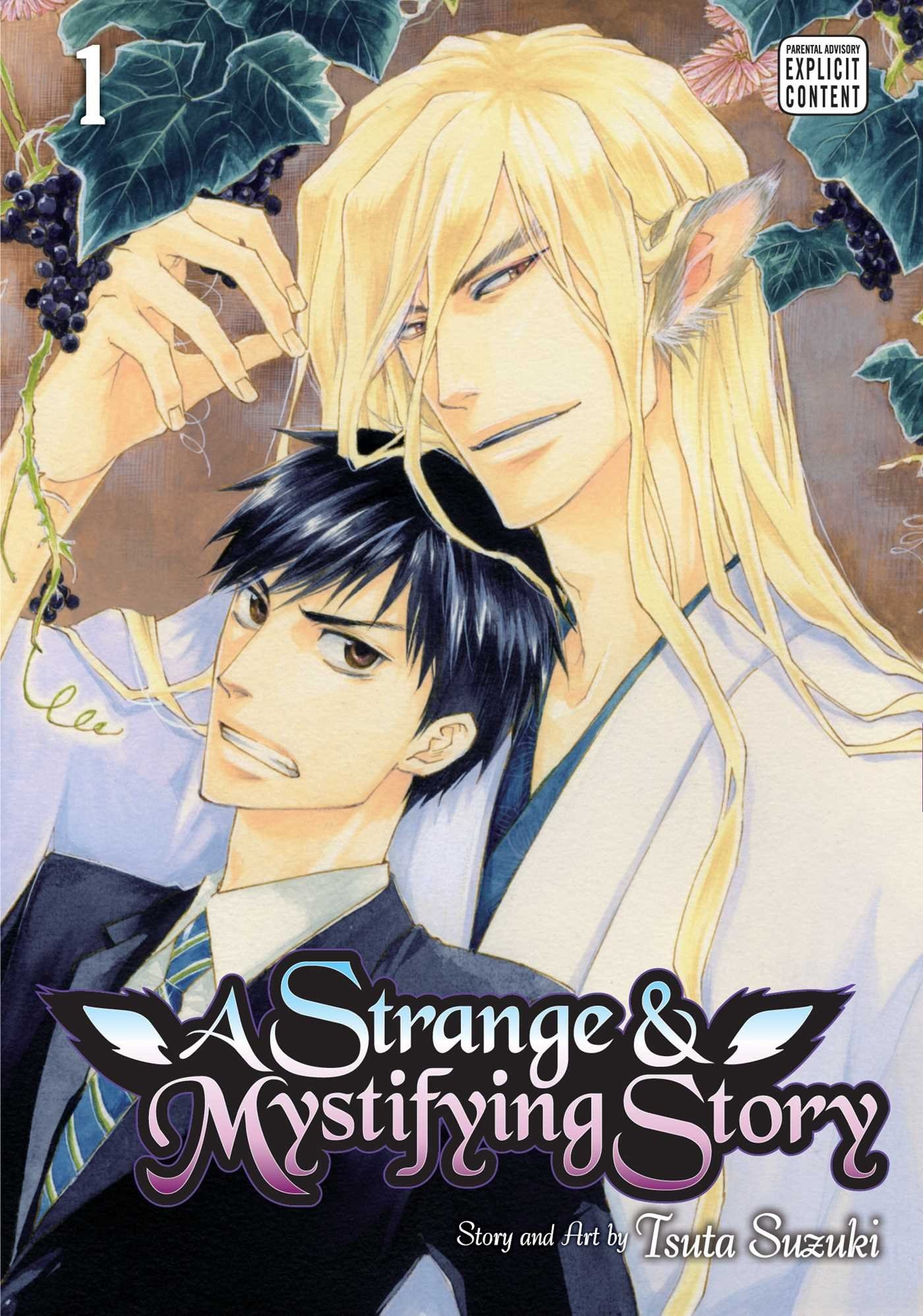 A Strange and Mystifying Story #1 cover
