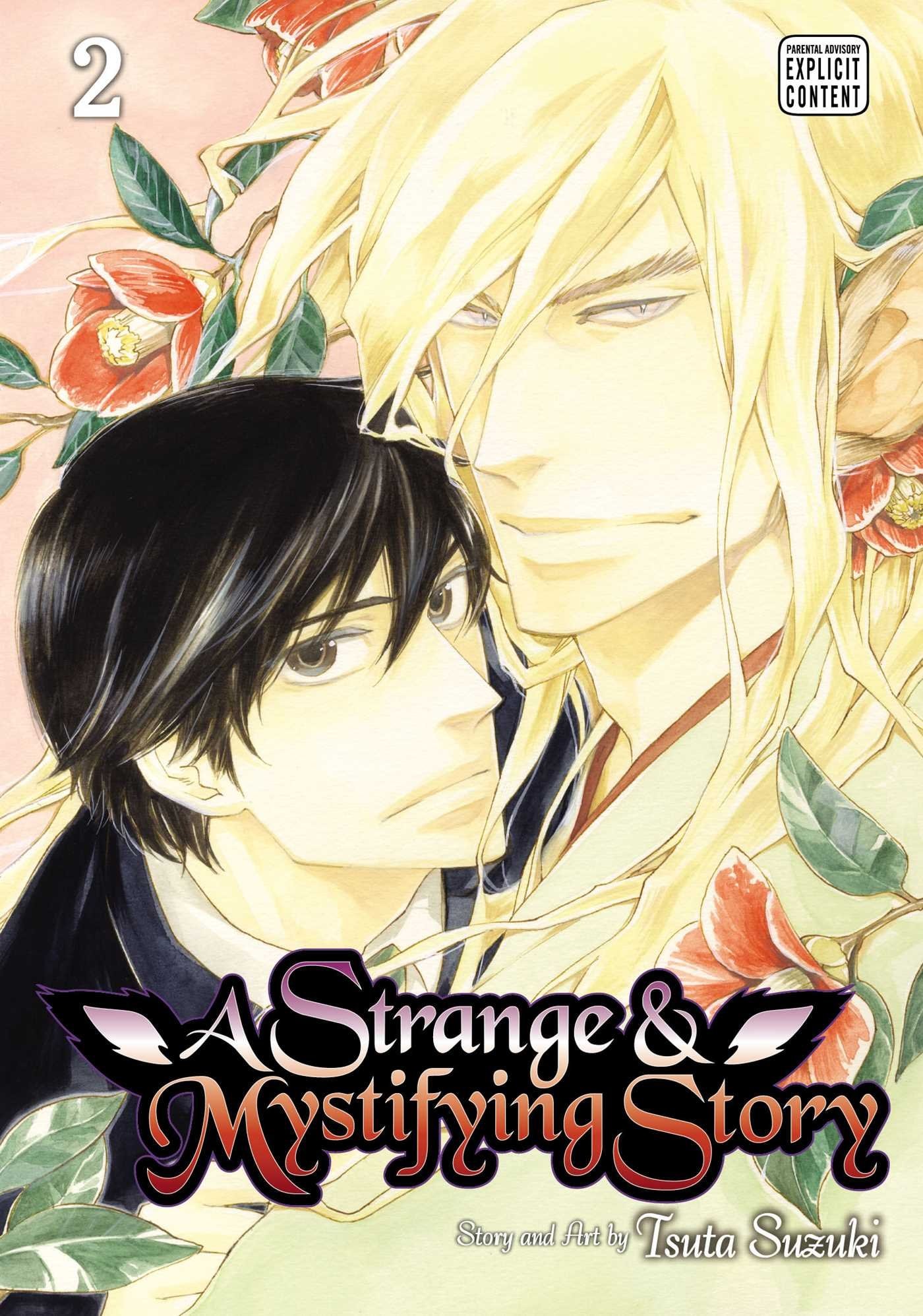 A Strange and Mystifying Story #2 cover