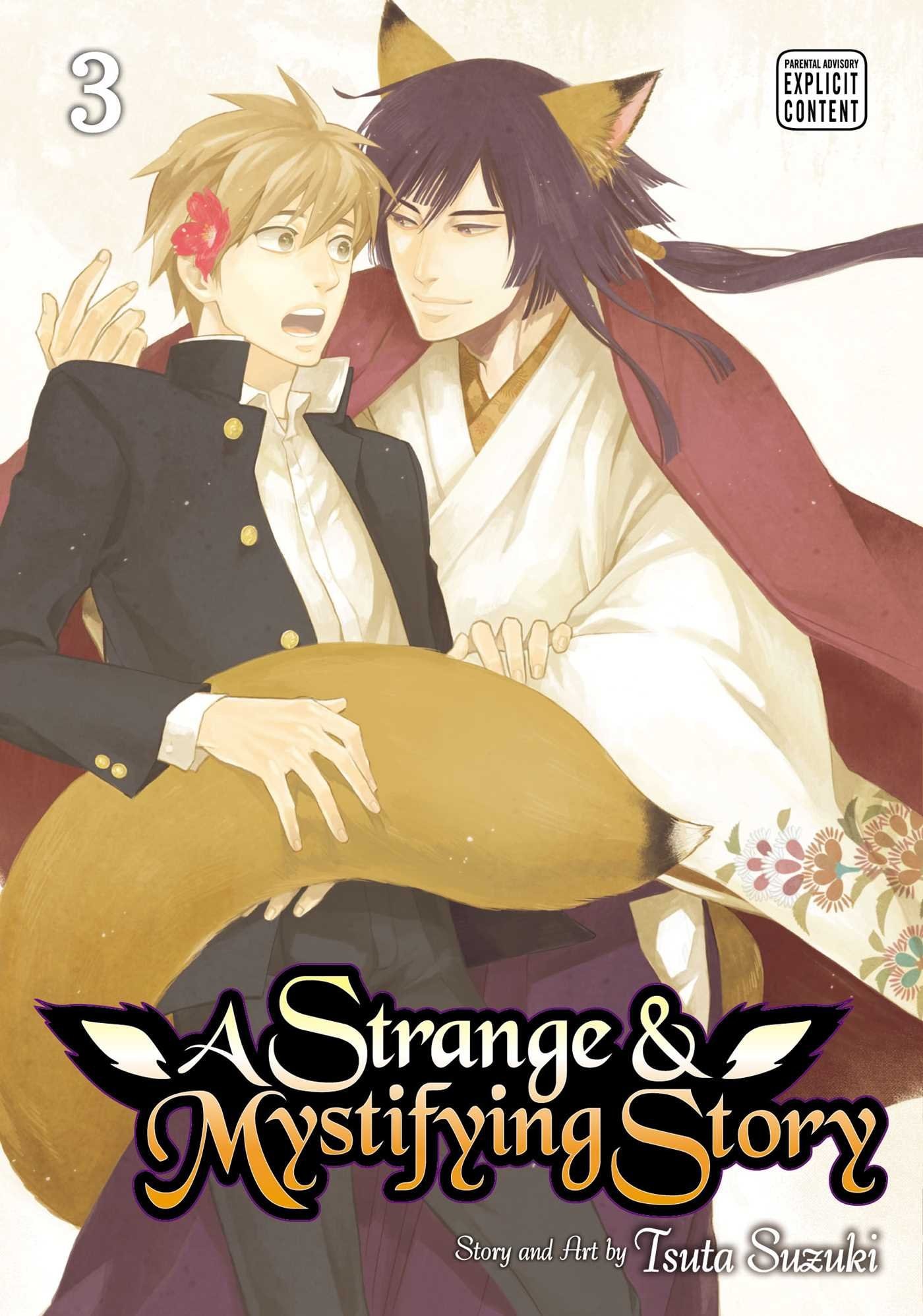 A Strange and Mystifying Story #3 cover