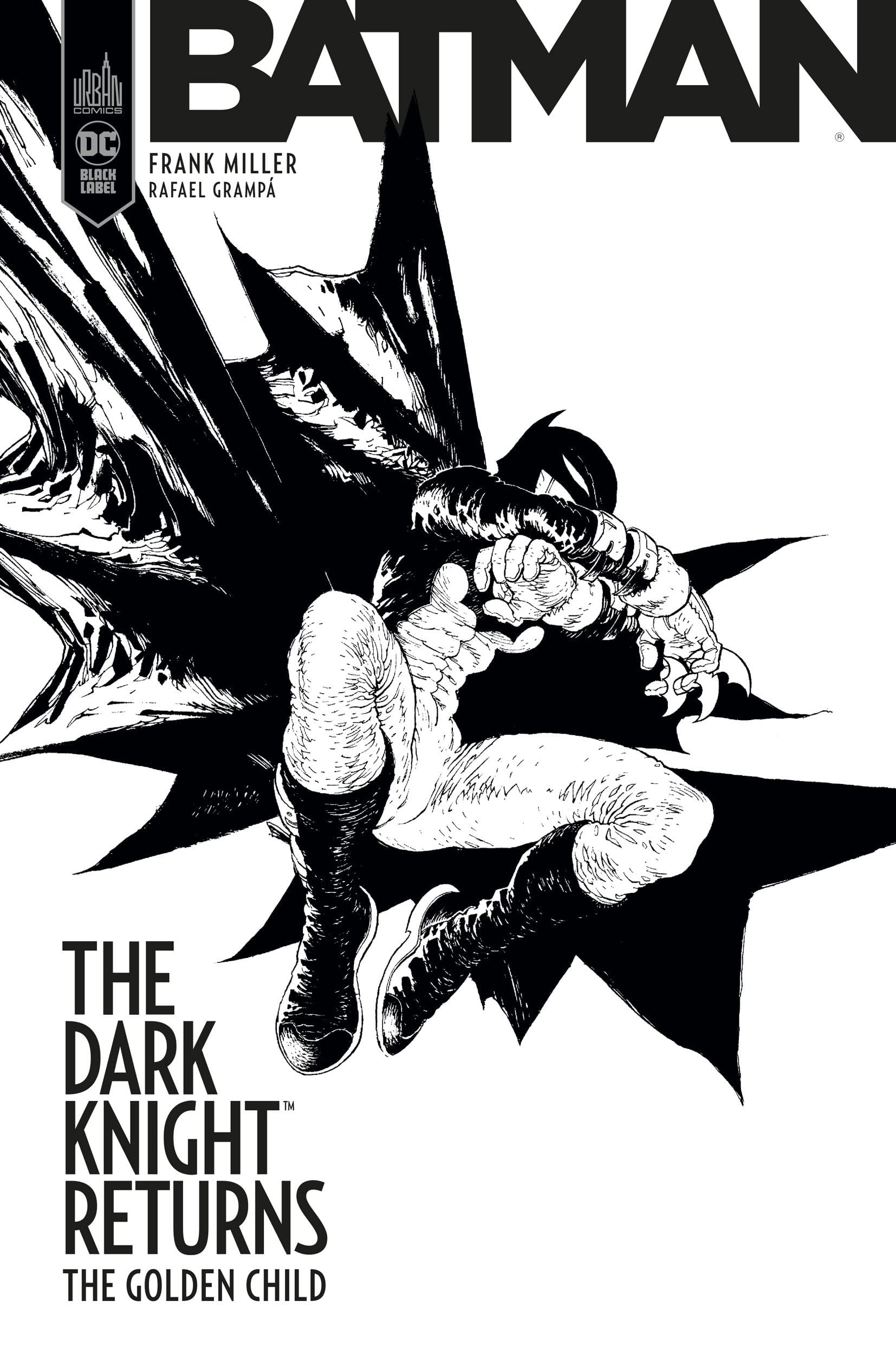 Batman - The Dark Knight returns : The Golden Child #[nn]