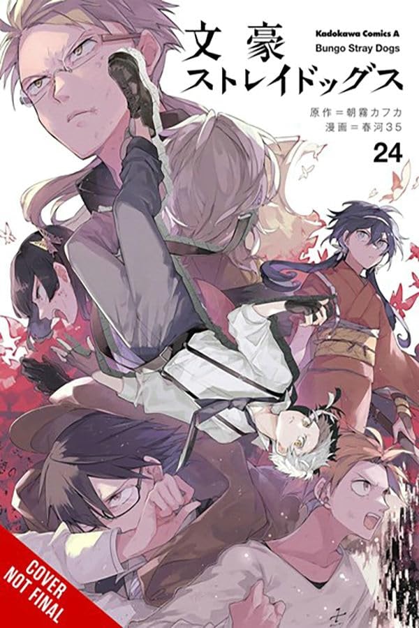 Bungo Stray Dogs #24 cover