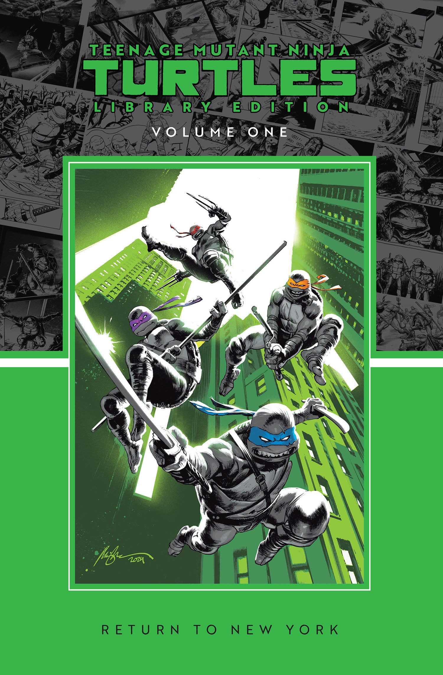 Teenage Mutant Ninja Turtles #1 cover