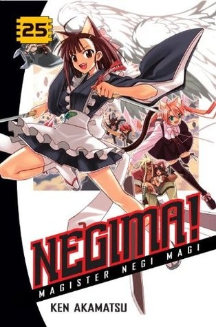 Negima! Magister Negi Magi #25 cover