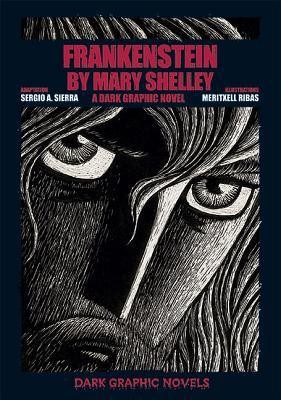 Frankenstein by Mary Shelley: A Dark Graphic Novel #[nn] cover