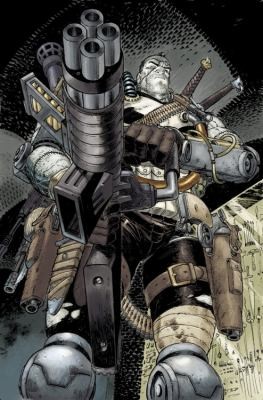 Punisher: Franken-Castle #[nn] cover