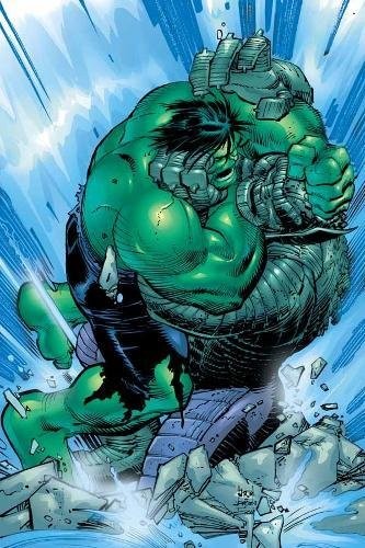 Incredible Hulk: Past Perfect #[nn] cover