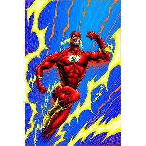 The Flash: Emergency Stop