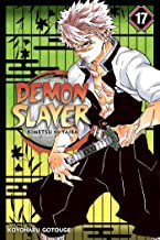 Demon Slayer: Kimetsu no Yaiba #17 cover