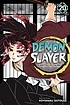 Demon Slayer: Kimetsu no Yaiba #20 cover