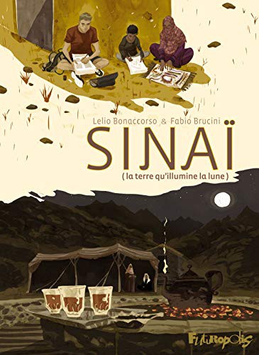 Sinaï - La terre qu'illumine la Lune #[nn] cover
