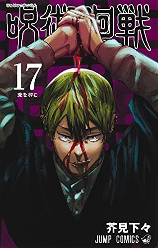 呪術廻戦 [Jujutsu Kaisen] #17 cover