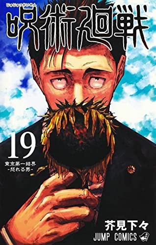 呪術廻戦 [Jujutsu Kaisen] #19 cover