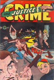 Crime and Justice #11