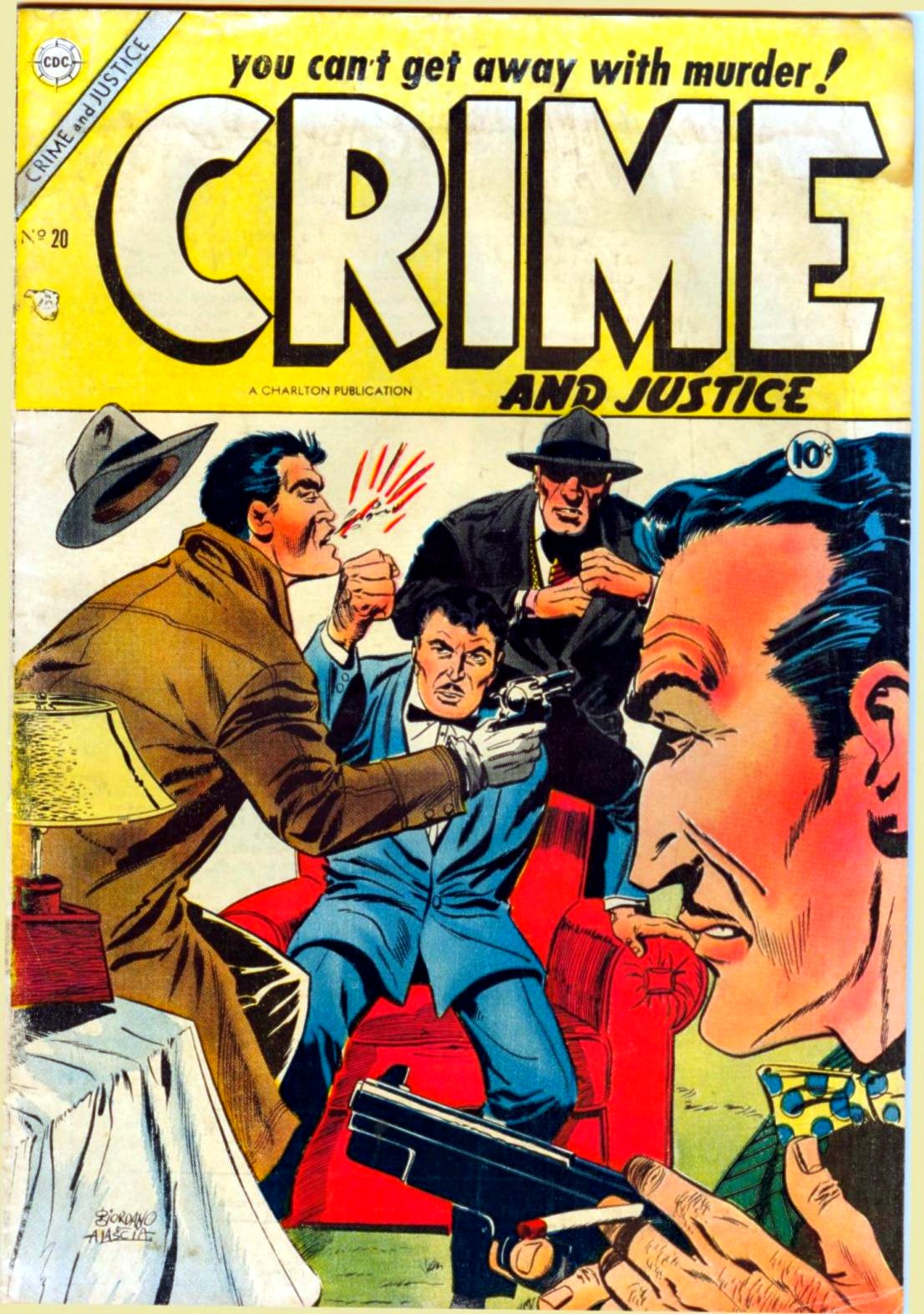 Crime and Justice #20